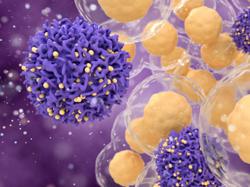 Read more about the article 你对CD4 与 “多面孔” 的CD<sup>4+</sup> T细胞了解多少？
