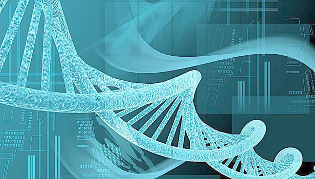 尿激酶推荐：Human Urokinase/uPA ELISA检测试剂盒