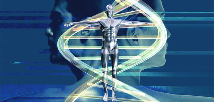 联科生物ELISA推出lg系列：人IgE检测试剂盒