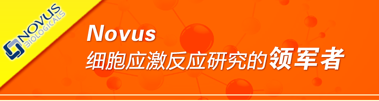 Novus细胞应激反应研究的领军者
