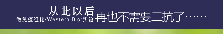 免疫组化、WesternBlot再也不需要二抗了