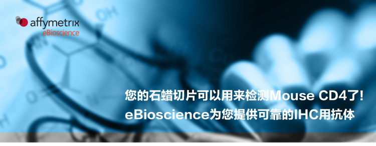 小鼠石蜡切片可以用来检测CD4了