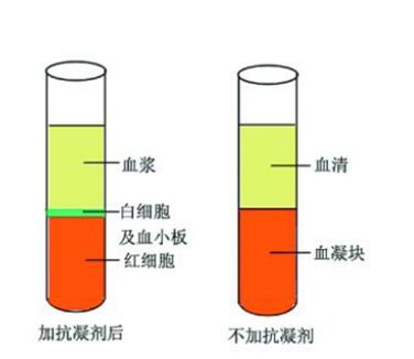 血清OR血浆,哪个是ELISA的菜 - 联科生物