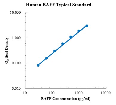 Human BAFF/BLys/TNFSF13B ELISA Kit (人BAFF/BLys/TNFSF13B ELISA试剂盒) - 标准曲线