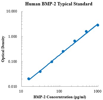Human BMP-2 ELISA Kit (人骨形态发生蛋白2 ELISA试剂盒) - 标准曲线