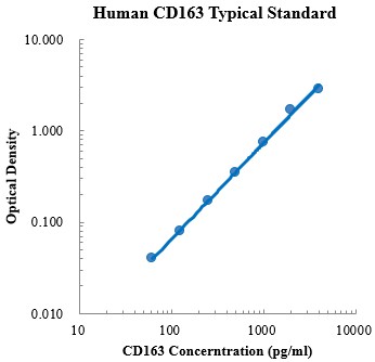 Human sCD163 Standard (人CD163 标准品)