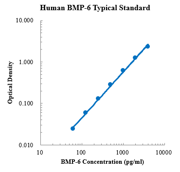 Human BMP-6 Standard (人骨形态发生蛋白6 标准品)