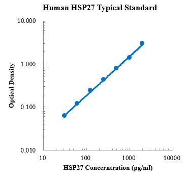 Human HSP27/HSPB1 Standard (人热休克蛋白 (HSP) 标准品)