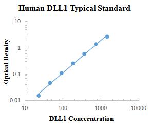 Human DLL1 ELISA Kit 人δ样蛋白1 (Human DLL1) ELISA试剂盒 - 标准曲线