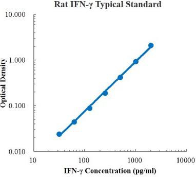 Rat IFN-γ ELISA Kit (大鼠γ干扰素 ELISA试剂盒) - 标准曲线