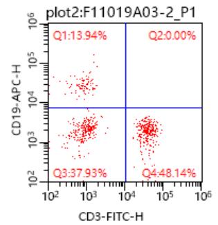 Anti-Human CD19, APC (Clone:HI19a) 流式抗体 检测试剂 - 结果示例图片