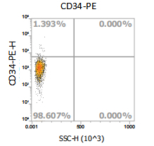Anti-Human CD34, PE （Clone: 4H11）流式抗体 - 结果示例图片