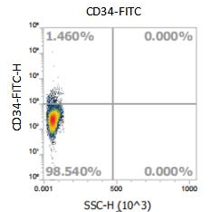 Anti-Mouse CD34, FITC （Clone: 013）流式抗体 - 结果示例图片