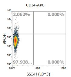 Anti-Mouse CD34, APC（Clone: 013）流式抗体 - 结果示例图片