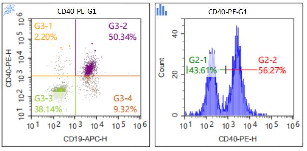 Anti-Mouse CD40, PE （Clone: 01）检测试剂 流式抗体 - 结果示例图片