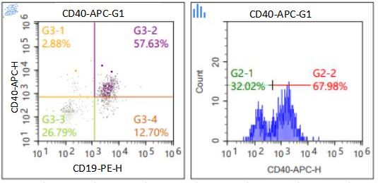 Anti-Mouse CD40, APC （Clone: 01）检测试剂 流式抗体 - 结果示例图片