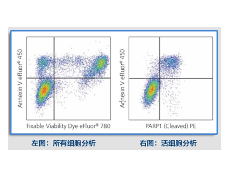Read more about the article 懂了这些知识，能帮你做好Th1/Th2检测