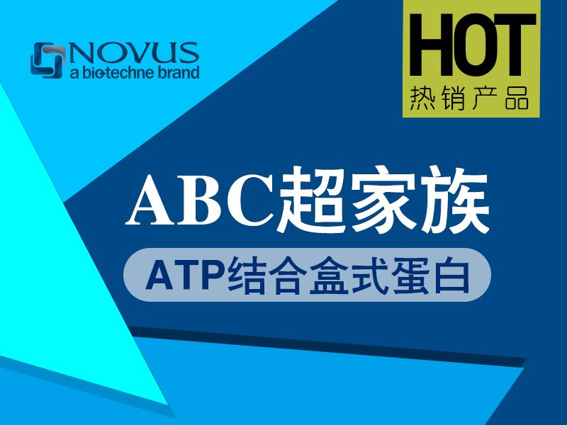 Read more about the article Novus ABC超家族热销产品
