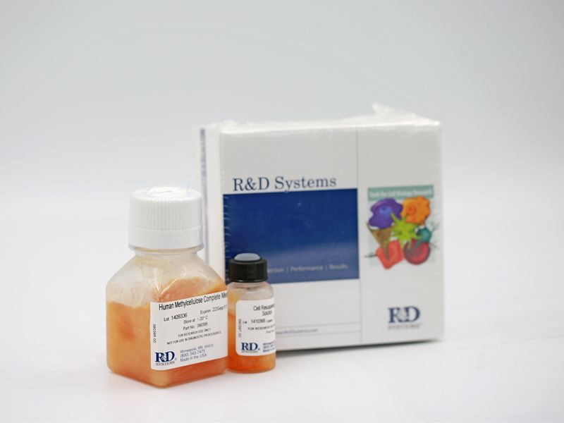 Read more about the article R&D胚胎干细胞、多能诱导干细胞培养基产品