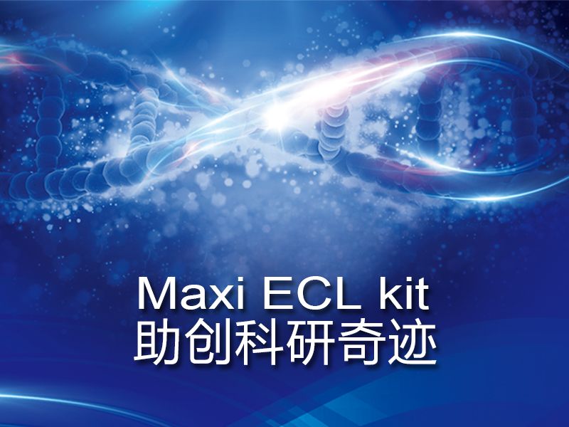 Read more about the article 联科生物Maxi ECL kit助创科研奇迹