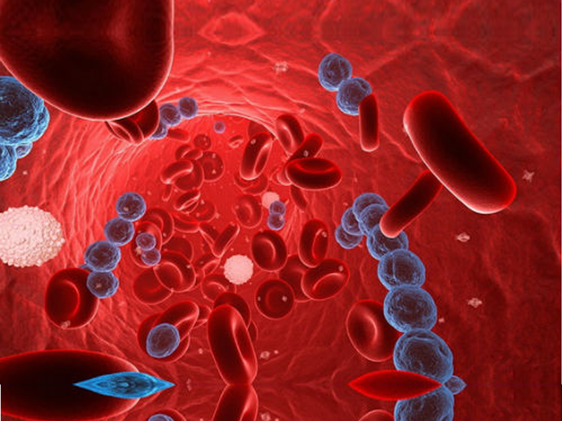 Read more about the article 红细胞生成素受体ELISA检测试剂盒
