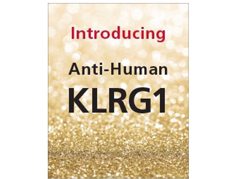 Read more about the article Human KLRG1检测金标准
