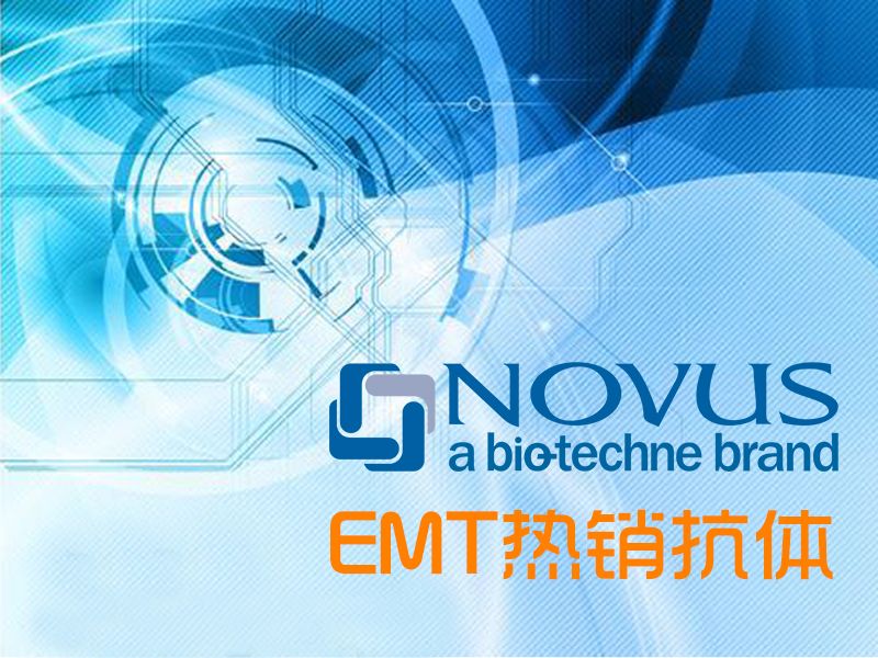 Read more about the article Novus上皮细胞间质转型（EMT）热销抗体精选