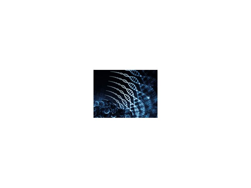 Read more about the article 联科信号通路实验抑制剂和诱导剂简介
