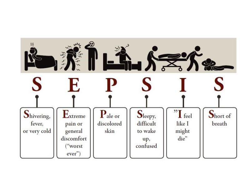Read more about the article ELISA系列 | 脓毒症（Sepsis）相关因子