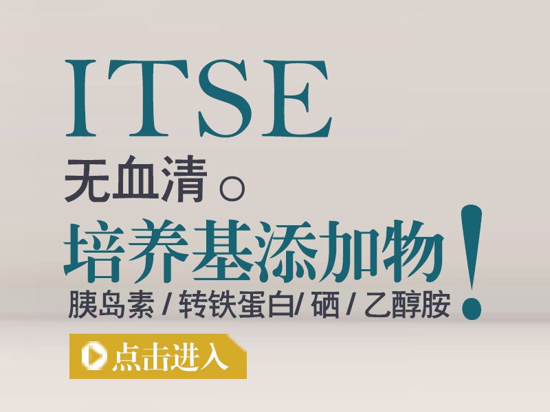 Read more about the article ITSE-无血清培养基添加物