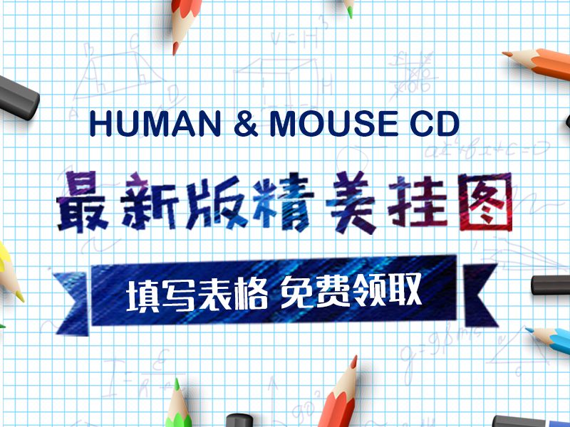 Read more about the article 最新human &mouse CD  精美海报，欢迎索取!
