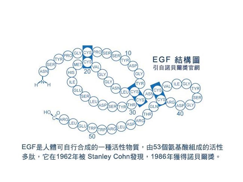 Read more about the article EGF表皮细胞生长因子-ELISA疾病研究因子