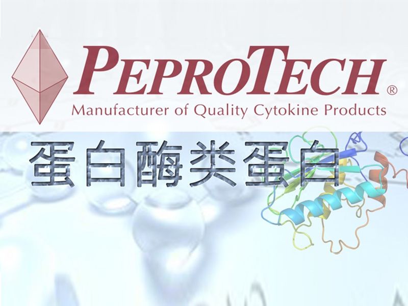 Read more about the article PeproTech蛋白酶类蛋白
