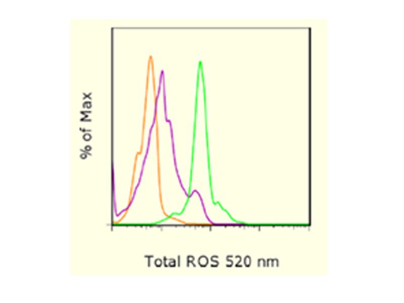 Read more about the article eBioscience最新推出：总活性氧流式分析试剂盒