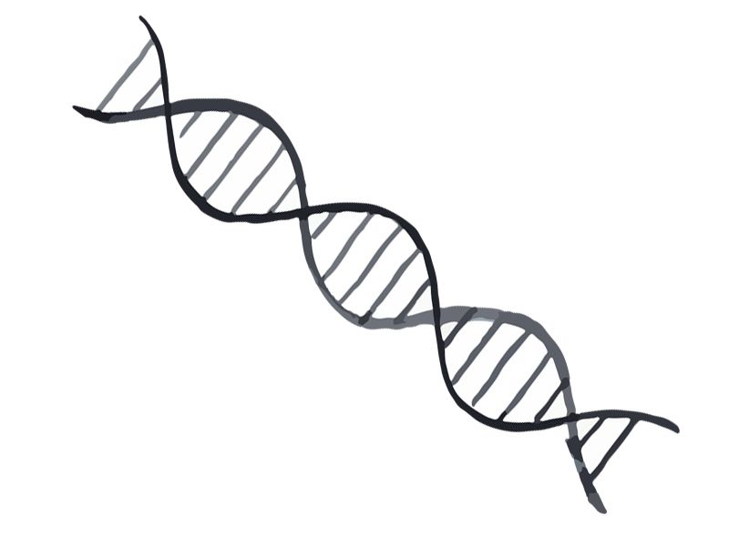 Read more about the article Novus癌症研究系列1：DNA损伤和修复