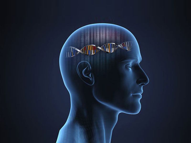 Read more about the article Novus神经生物学研究系列4：神经细胞标记物