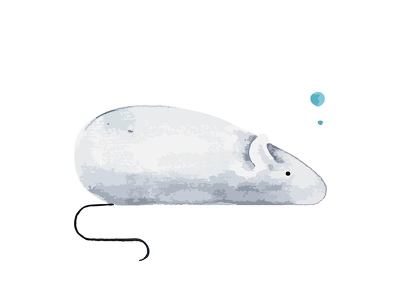 Read more about the article 趋化因子推荐：Mouse IP-10 ELISA检测试剂盒
