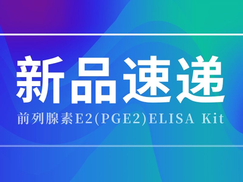 Read more about the article 新品速递 | 前列腺素E2(PGE2)ELISA Kit